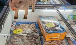 “猪肉一天一个价地往下掉”，繁育端陷入亏损，拐点何时出现？