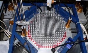 被俄议员全体起立感谢，金正恩却突然一反常态，要对俄提高警惕