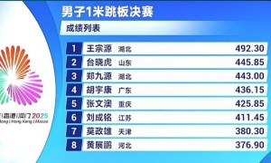 原创 
            全运会男子1米板：王宗源断层领先摘金，世锦赛冠军郑九源获铜牌