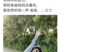 女子在夜市小吃街被高空抛下的砖头砸中不幸离世，家属起诉多方索赔200余万元