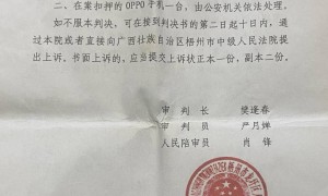 广西藤县原县委书记遭绑架案追踪：主犯此前被判十八年已在服刑，多名亲属因毁证获罪
