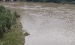 “男子婚礼当天跳河失踪”，官方通报：因婚礼琐事情绪失控