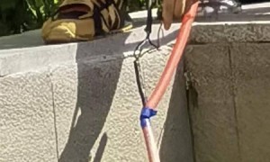 5岁男童小区景观池触电身亡，父亲：先不谈赔偿，希望追究相关人员刑责